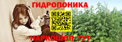 прущие грибы Норильск