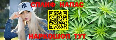 mdpv Гусиноозёрск