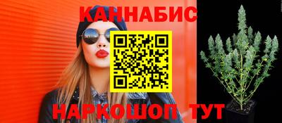 дурь Ногинск