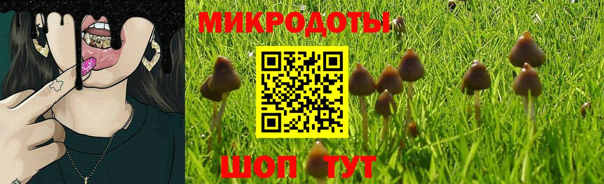 Псилоцибиновые грибы прущие грибы  Вход с VPN  Норильск 